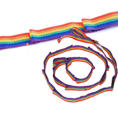 Colorful Tent Hang Lanyard