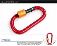 D-type Safety Buckle Lock
