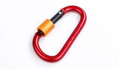 D-type Safety Buckle Lock